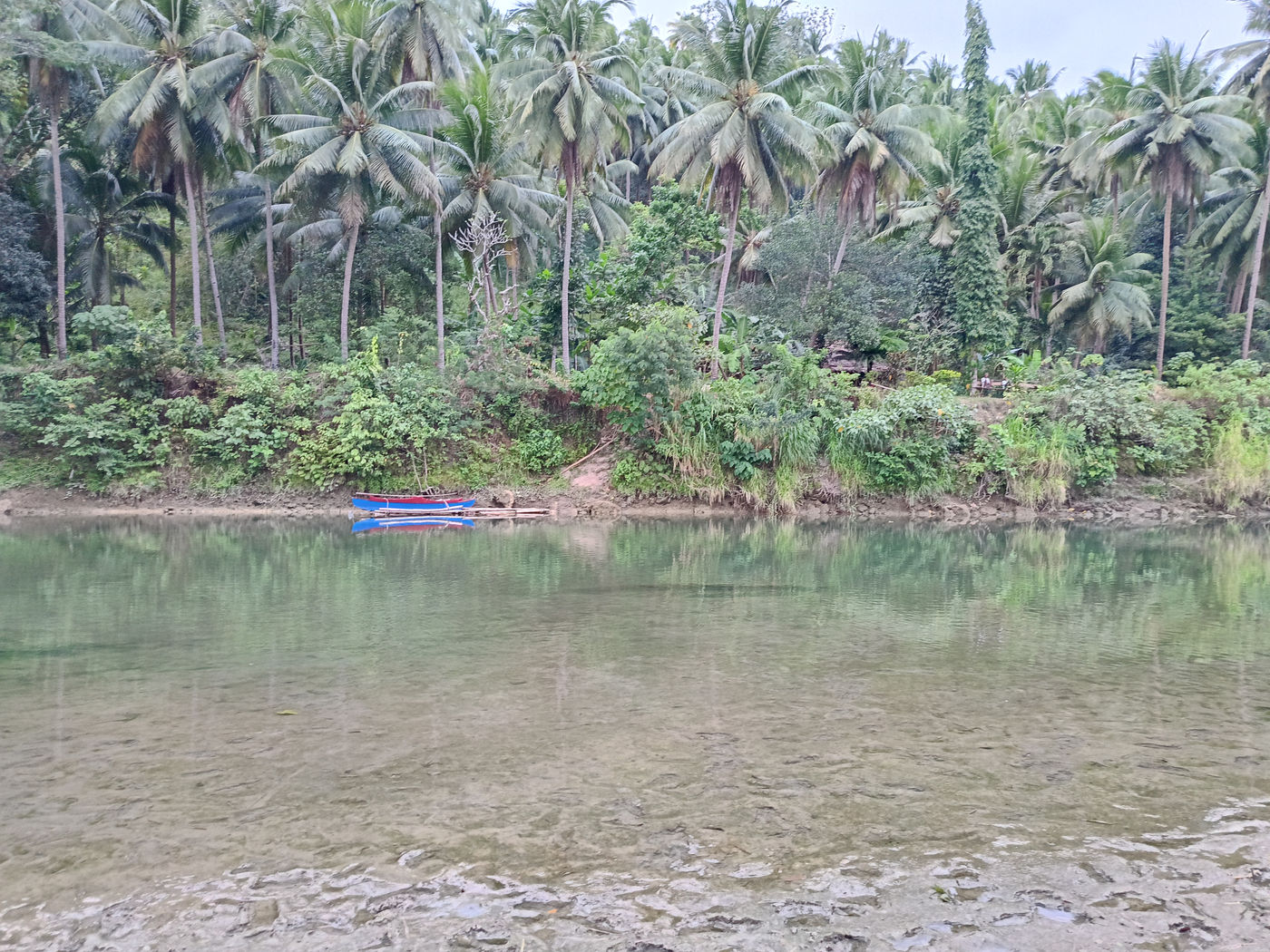Boat moored on a jungle river