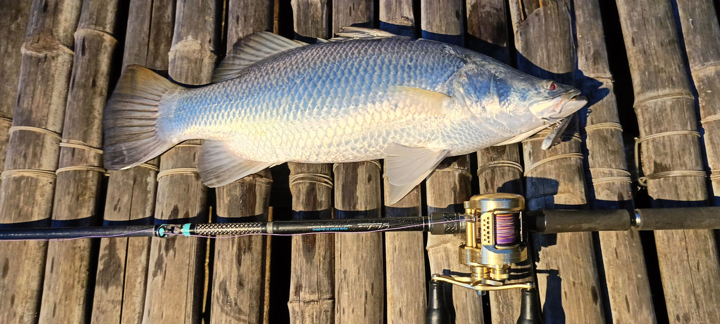 Barramundi on a bamboo raft with baitcasting tackle