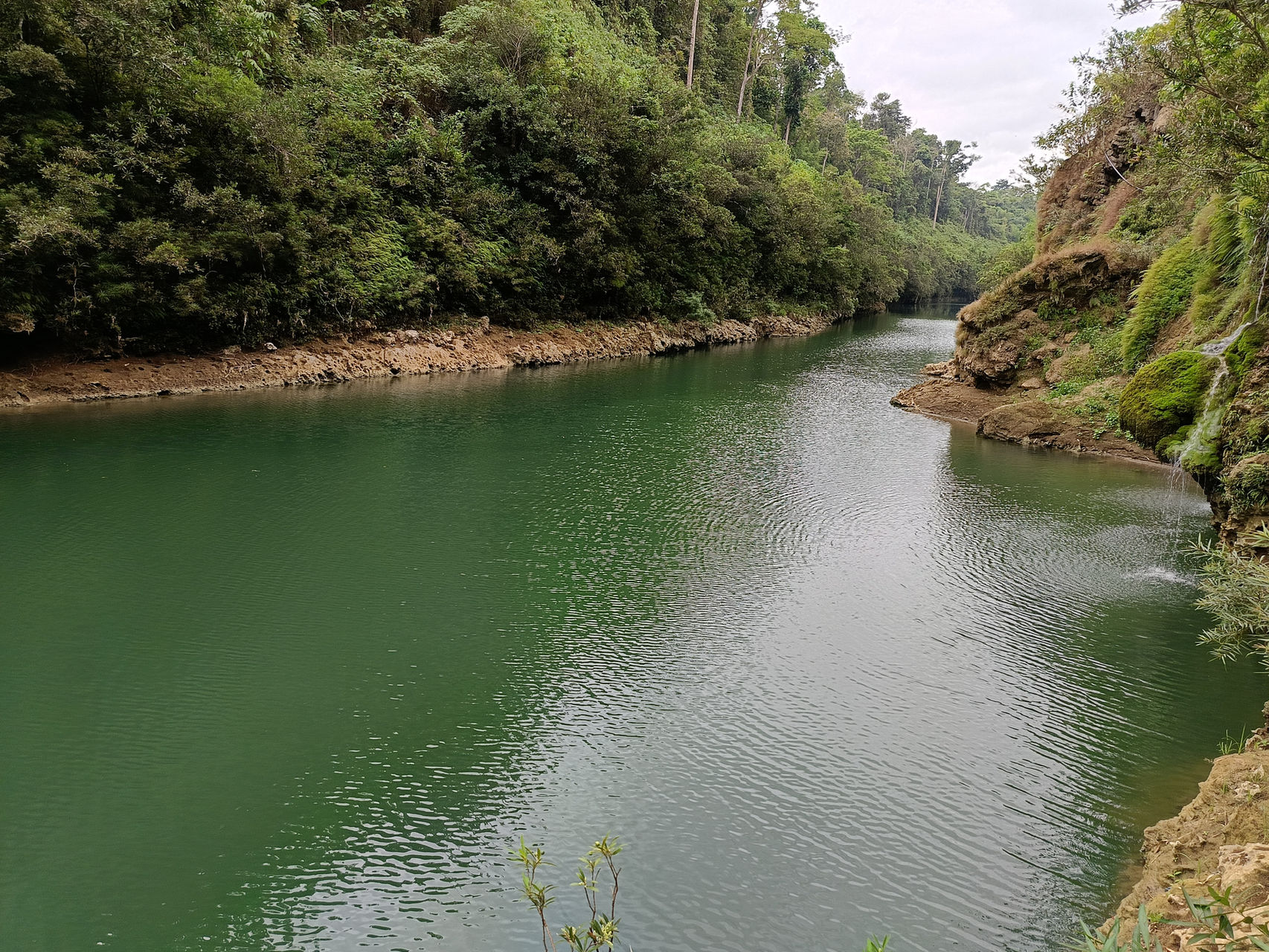 Emerald green river winding through the jungle